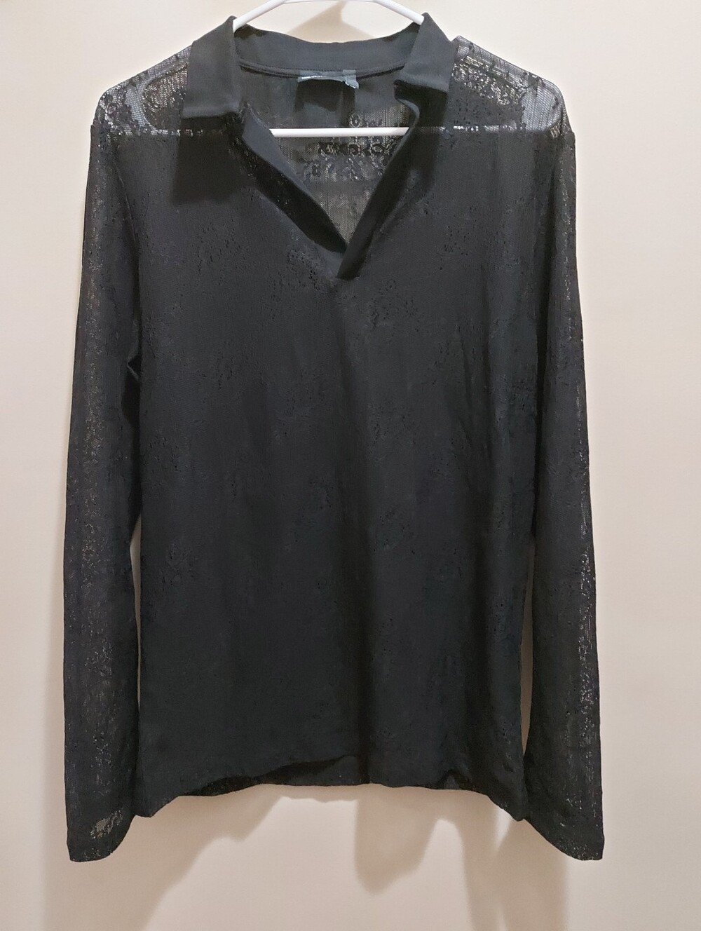 Sheer Lace Long-Sleeve V-Neck Top